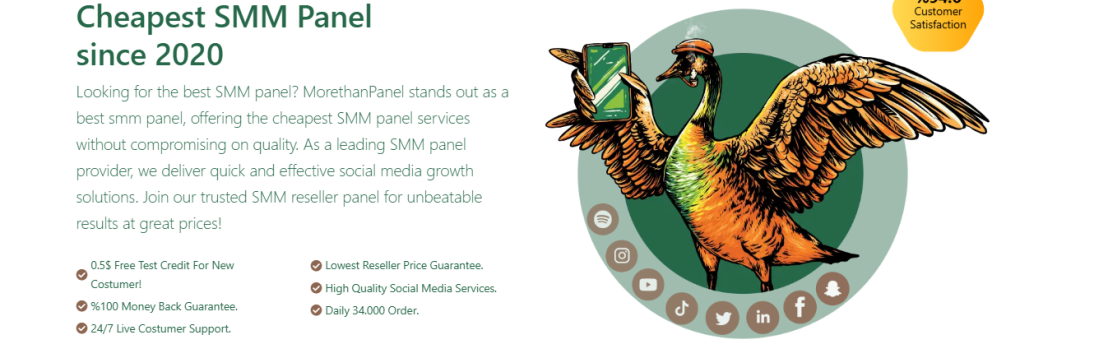 MoreThanPanel Official